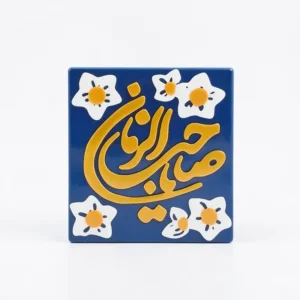مگنت سرامیکی طرح یا