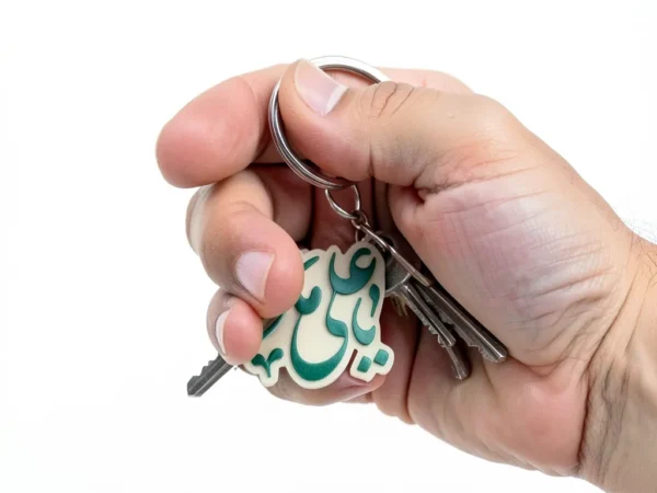 جاسوییچی طرح یاعلی مدد